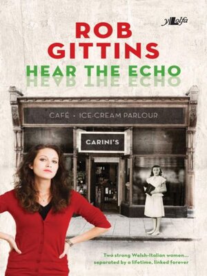 cover image of Hear the Echo